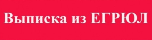 Изображение данные выписки из ЕГРЮЛ.