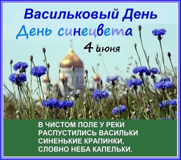 Васильковый день.